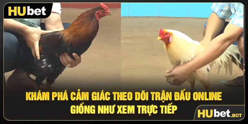 Khám phá cảm giác theo dõi trận đấu online giống như xem trực tiếp